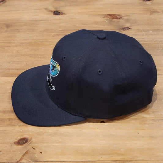 Vintage St. Petersburg Devil Rays Hat M/L Snapback MiLBNew Era Wool Blend USA