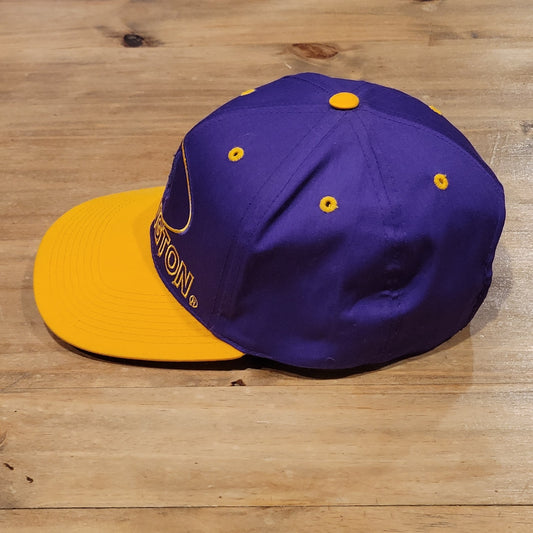 Vintage Washington Huskies Hat Snapback Purple 90s College Football Twill