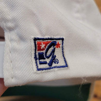 Vintage Arizona Diamond Backs Hat Snapback White 3 Bar The Game 90s Twill MLB
