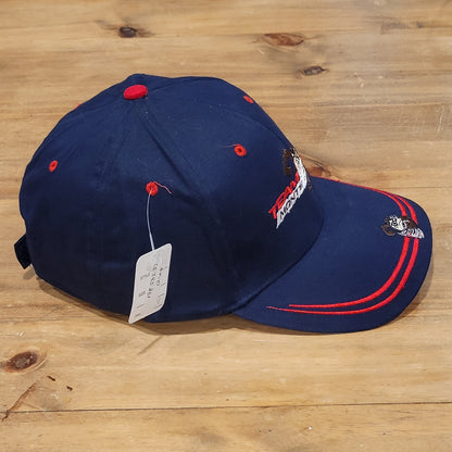 Vintage Taz Chevy Monte Carlo Hat Strap Back Tasmanian Devil Blue 90s Car Racing