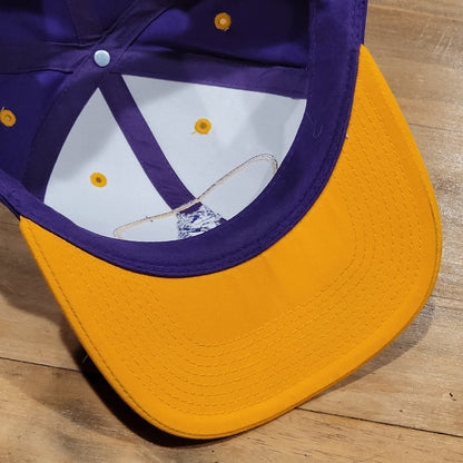 Vintage Washington Huskies Hat Snapback Purple 90s College Football Twill