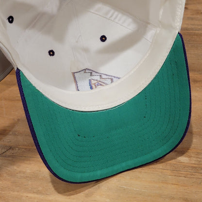 Vintage Arizona Diamondbacks Hat Snapback White Purple A Logo Wool Blend MLB