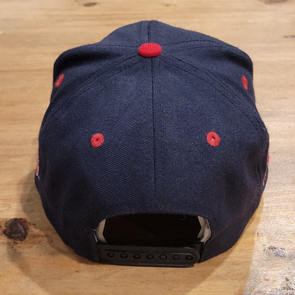 Vintage Chicago Bulls Hat Snapback Black Twins Enterprise Wool Blend 90s Jordan