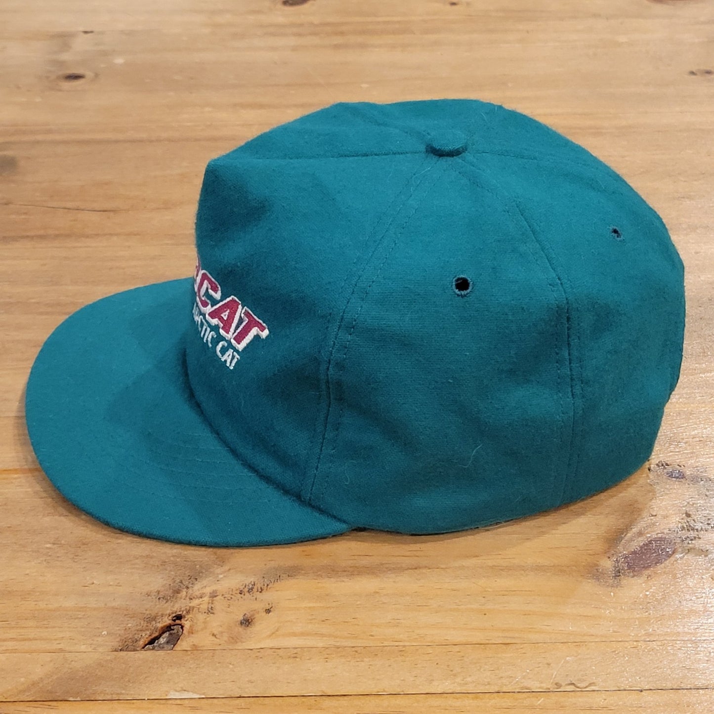 Vintage Bearcat Artic Cat Hat Snapback MAde USA Articwear 90s Green spell Out