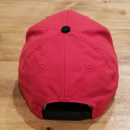 San Francisco 49ers Hat Snapback Reebok Arch Spell Out Big Logo Wool Blend Y2K