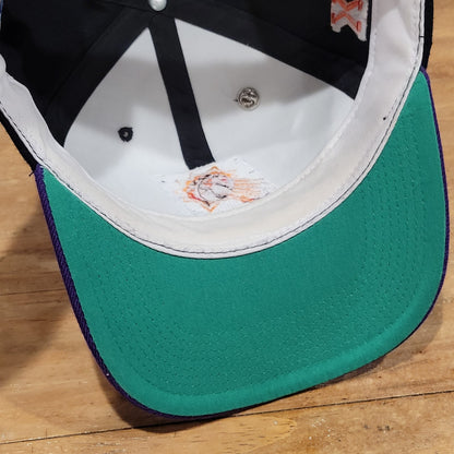 Vintage Phoenix Suns Hat Snapback Side Spell Out Wave Sports Specialties Wool