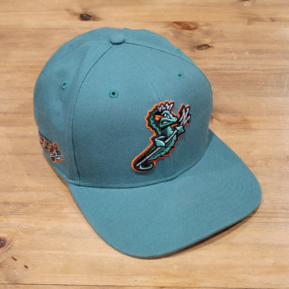 Norfolk Tides Hat Snapback MiLB Baseball Seahorse Logo Orioles 47 Brand  Wool