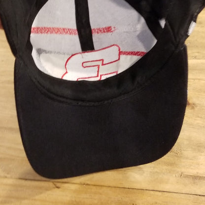 Vintage Dale Earnhardt Hat Snapback Swirl Circle Embroidered  90s NASCAR Race
