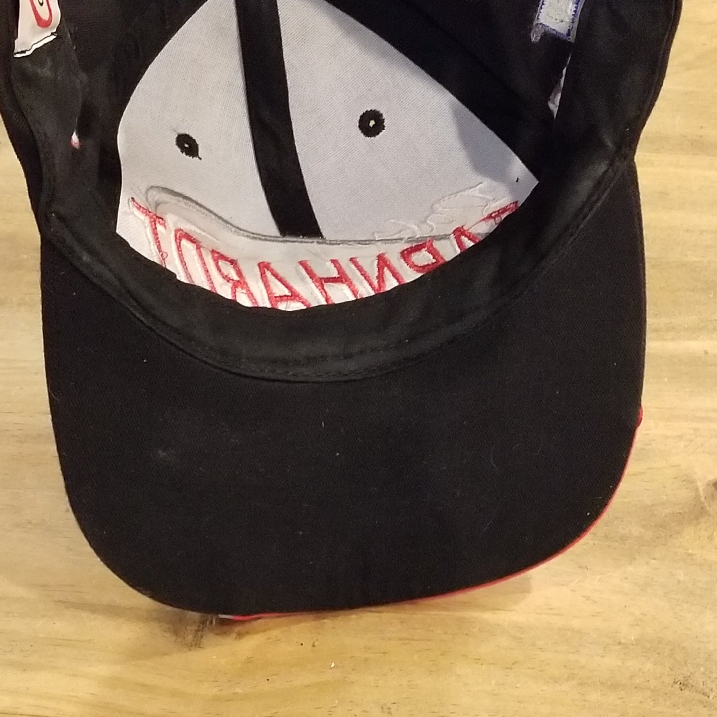 Vintage Dale Earnhardt Hat Snapback Wave Tooth Embroidered 90s NASCAR Race