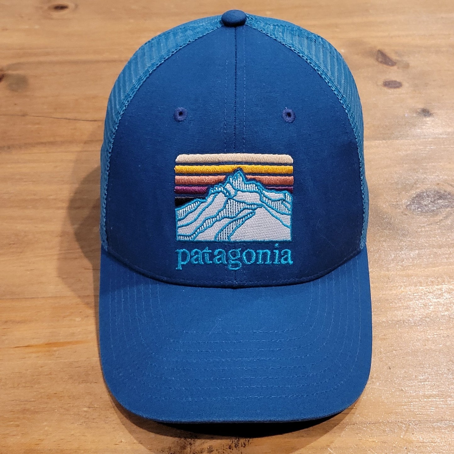Patagonia Trucker Hat Cap Snapback Blue Embroidered Mountains Mesh Back Outdoor