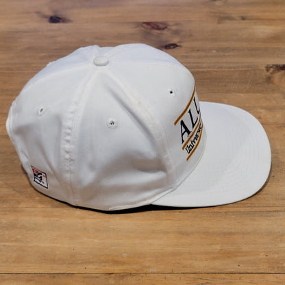 Vintage Notre Dame Fighting Irish Alumni Hat The Game 3 Bar White Snapback 90s
