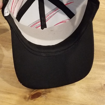 Vintage Dale Earnhardt Hat Swirl Embroidered NASCAR Race Chase Black Intimidator
