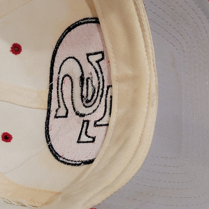 San Francisco 49ers Blockhead Snapback American Needle White 90s NFL Wool Blend