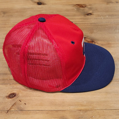 Vintage Minnesota Twins TC Trucker Hat Snapback Mesh Back MLB 80s Youngan