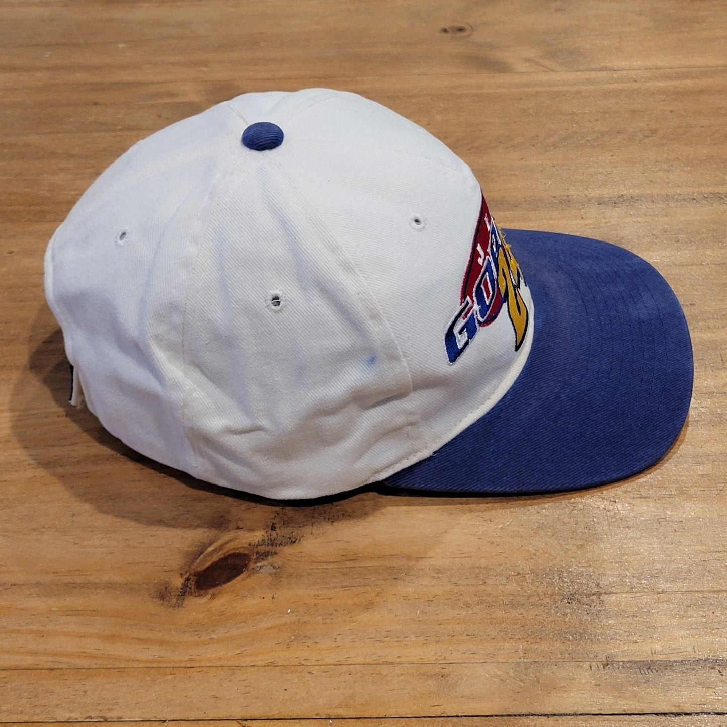 Vintage Jeff Gordon Hat Strap Back White 90s Chase NASCAR Racing