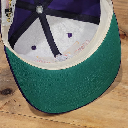 Vintage Washington Huskies Rose Bowl Hat Snapback Apparel #1 Purple College 90s