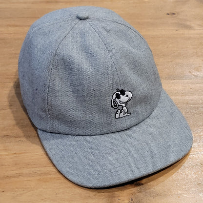 Vans Peanuts Snoopy Hat Cap Strap Back Gray One Size Skater Skateboarding