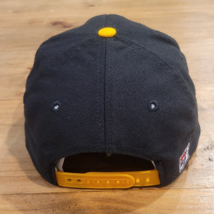 Vintage Michigan Wolverines Hat Snapback The Game Go Blue Wool Blend College 90s