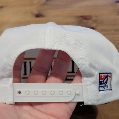 Vintage Notre Dame Fighting Irish Alumni Hat The Game 3 Bar White Snapback 90s