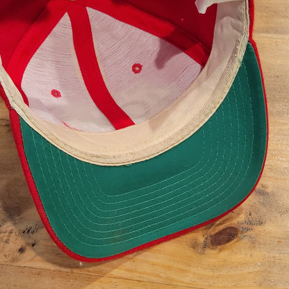 Vintage San Francisco 49ers Hat Sports Specialties Single Script 90s Wool Korea