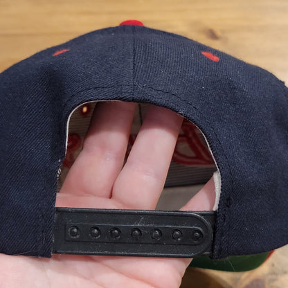 Vintage Chicago Bulls Hat Snapback Black Twins Enterprise Wool Blend 90s Jordan