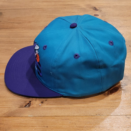 Vintage Charlotte Hornets Hat Snapback 90s NBA Basketball One Size