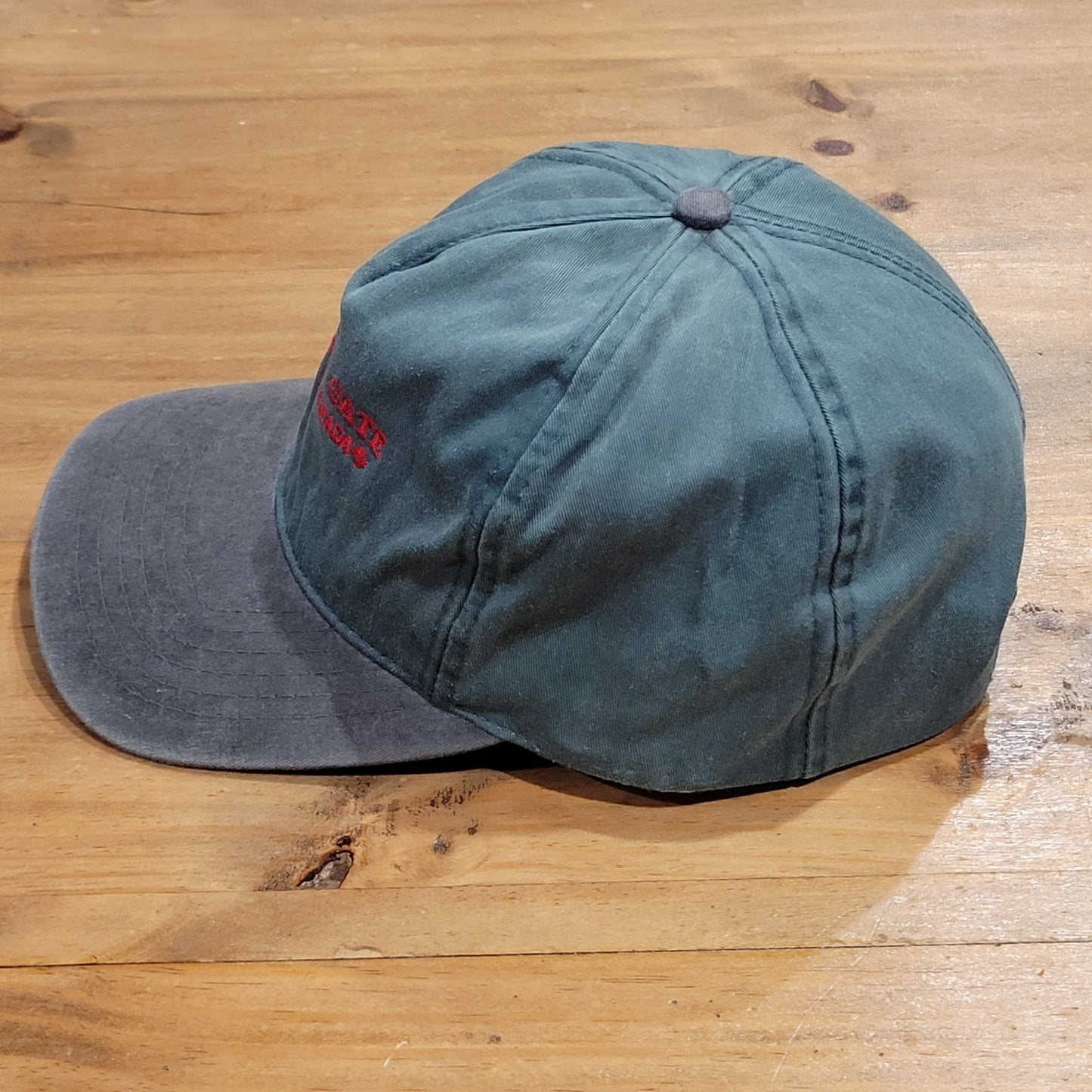 Vintage 80s Hell's Gate Airtram Canada Snapback Hat Fraser Canyon Souvenir Cap