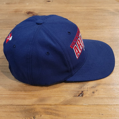 Vintage Arizona Wildcats Hat Sports Specialties Snapback Blue 90s Wool Blend