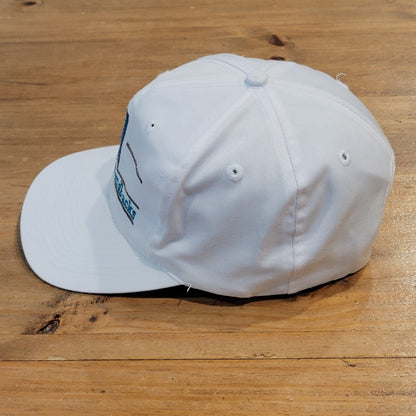 Vintage Arizona Diamond Backs Hat Snapback White 3 Bar The Game 90s Twill MLB
